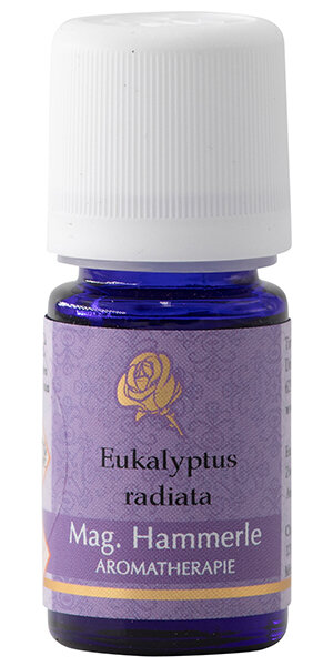 Eukalyptus&ouml;l radiata - Eucalyptus