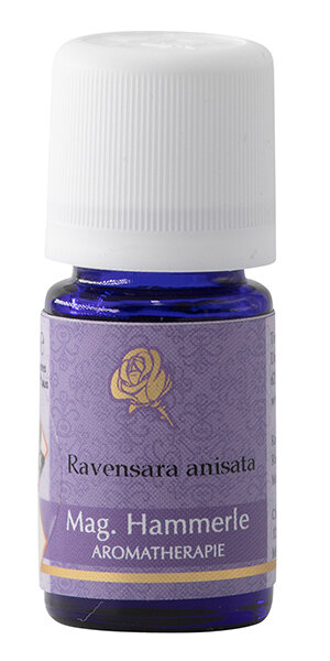 Ravensara&ouml;l anisata - &auml;therisches &Ouml;l
