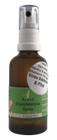 Desinfektionsspray