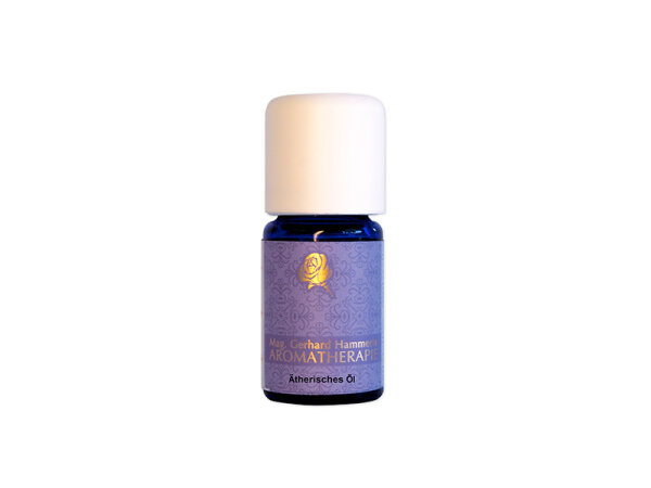 Liebst&ouml;ckel - &Auml;therisches &Ouml;l kaufen Liebst&ouml;ckel&ouml;l-10 ml